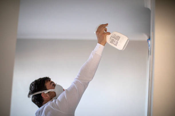 Best Basement Mold Remediation in Howard Lake, MN